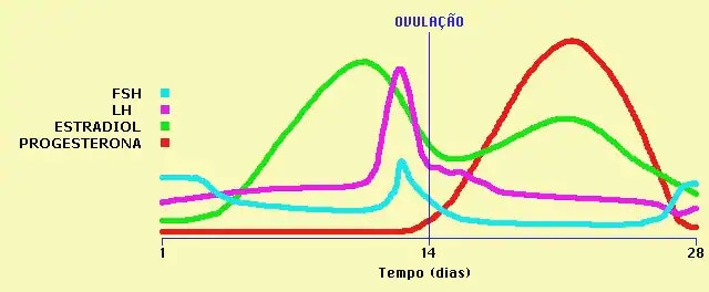 Gráfico FSH Gráfico FSH