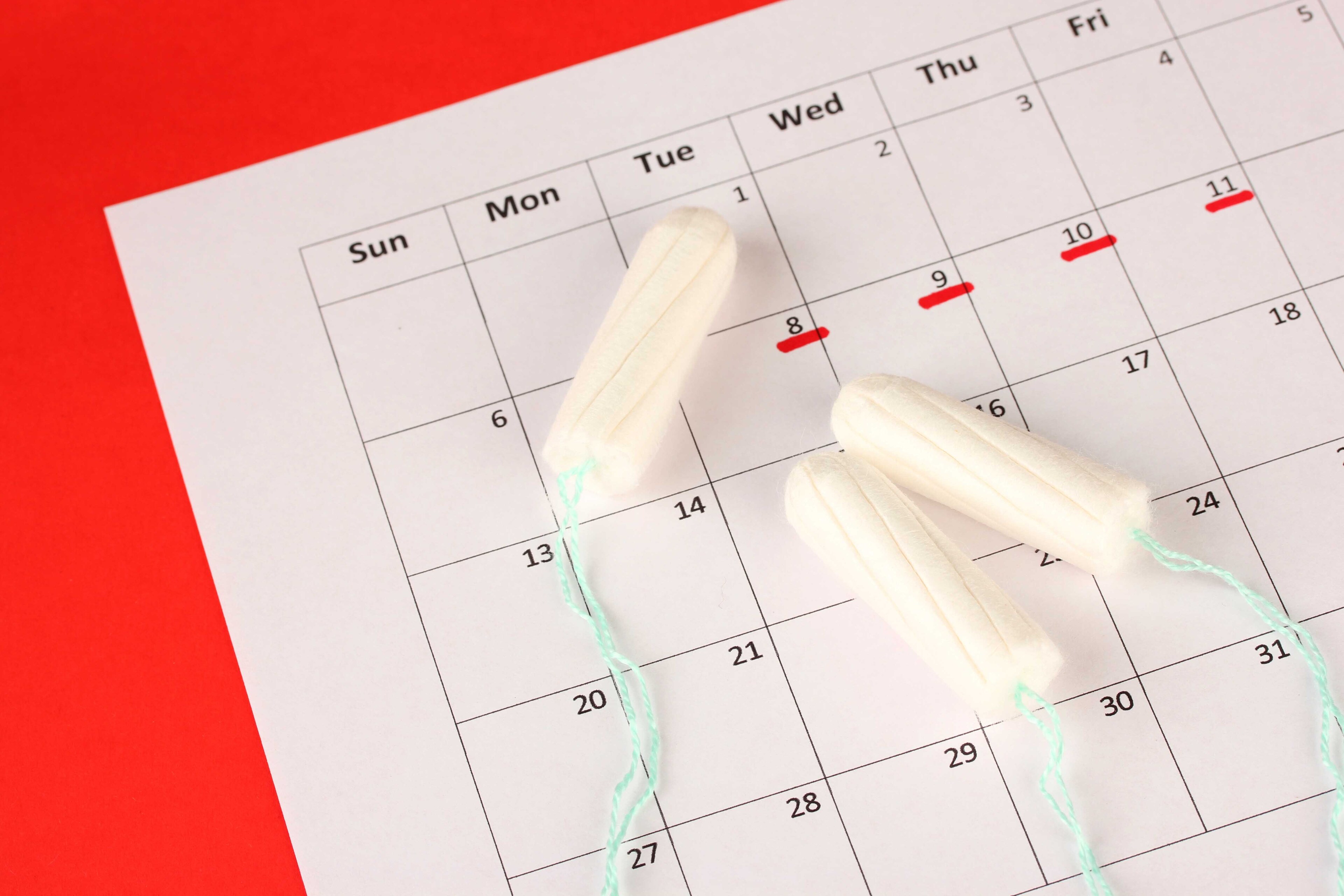 O que é menstruação? O que é menstruação?