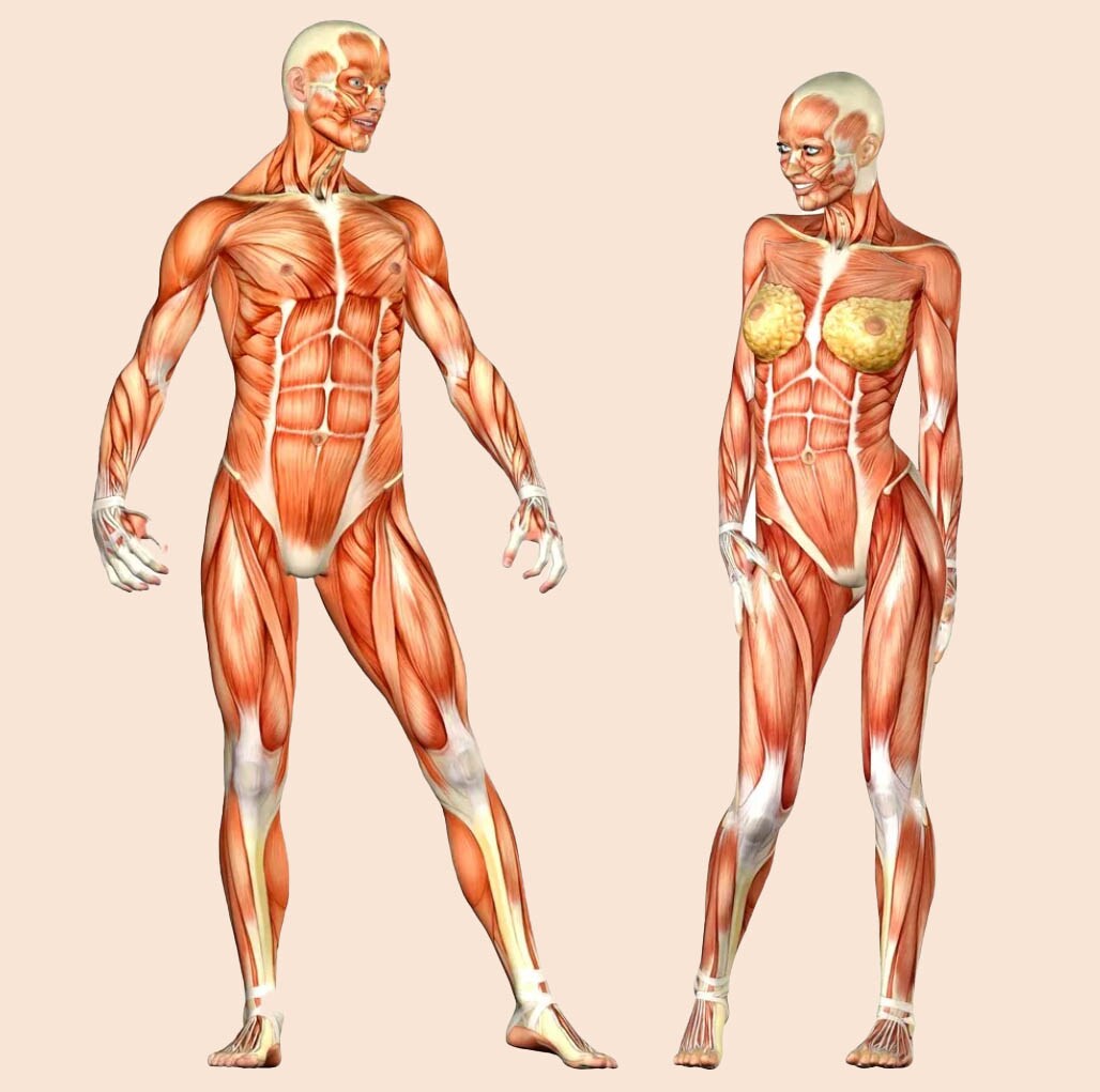 Prevenção para infertilidade Prevenção para infertilidade