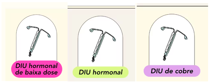 DIU Formatos